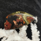 Preview: Opalized Petwood Anhänger